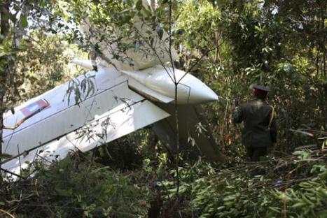 Plane crash wreckage in a forest.