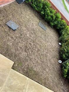 Damaged lawn with brown grass.