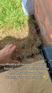 Lawn laid on stone at a new house.