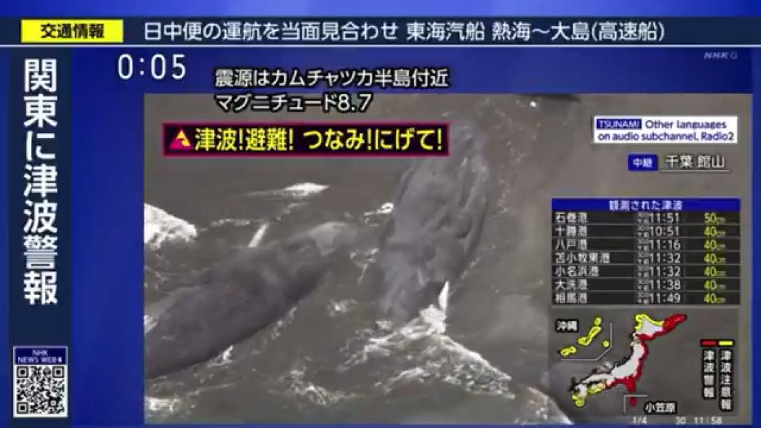 Video footage of at least four whales washed ashore in Japan after an 8.7 magnitude earthquake.