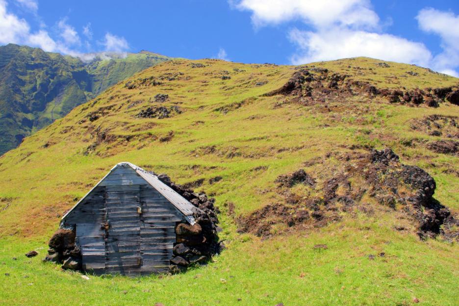 Wooden shack on a grassy hillside.