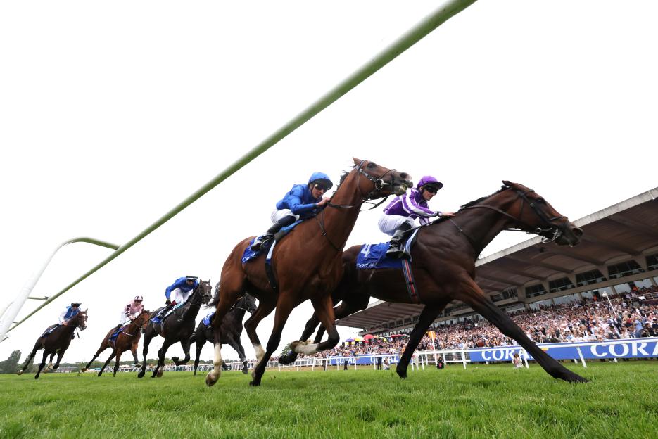 Horses and jockeys racing at Sandown Park Racecourse.