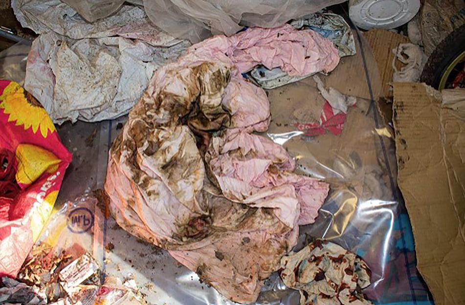 Photo of a soiled pink sheet found in a shed.