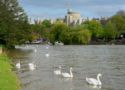 My first-ever river holiday on the outskirts of the UK capital – with palaces, locks and barbeques on the top deck