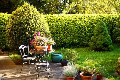 Springtime patio with wrought iron furniture, potted flowers, and herbs.