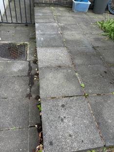 Dirty patio stones with weeds growing in the cracks.