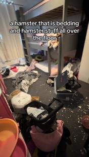 Messy bedroom floor with hamster bedding and supplies scattered around.