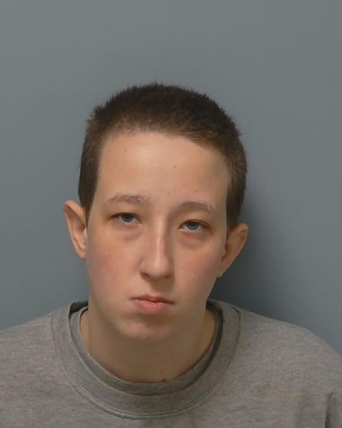 Mugshot of Anarlyn Jones.