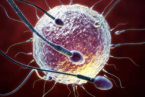 Warning to anyone who suffered a ‘spring cold’ as new study raises fears over male fertility
