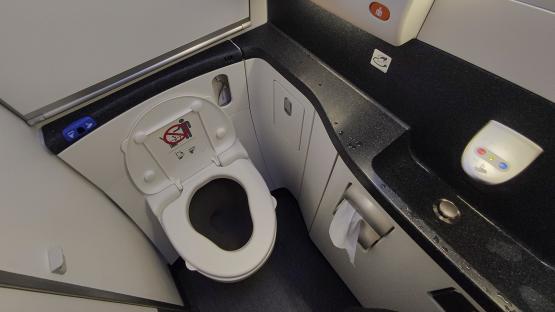 Passengers should never wash their hands in airplane toilets, experts warn – it can make them dangerously more dirty