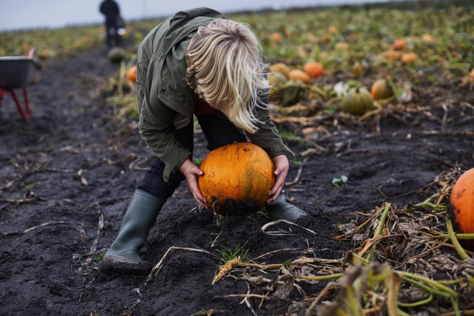 A boy in a green jacket and rain boots picking up a pumpkin in a muddy field.