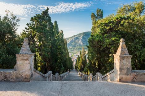 Stone stairway in Pollenca, Mallorca, lined with trees and leading to a village in the distance.