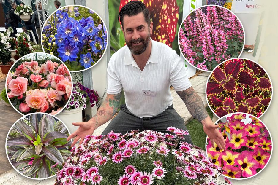 10 gorgeous ‘Plants of the Future’ TV expert says every UK garden needs – including a perfect alternative to lavender