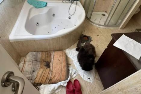 How tiny clue sparked rescue of kids trapped in ‘House of Horrors’ since Covid after neighbour revealed ‘forensic’ diary