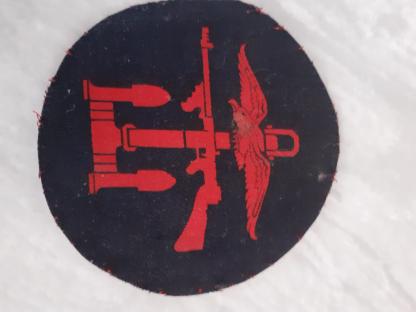 Combined operations badge.