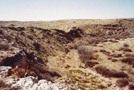 Arid landscape with a rocky ravine.