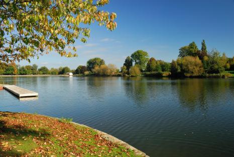 Autumn leaves on the grassy bank of a lake.