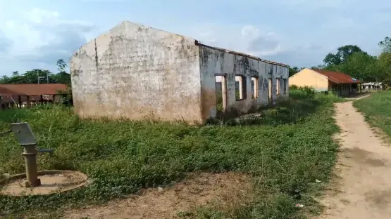 Snakes, lizards take over Benue public schools as teachers, pupils abandon classes 4