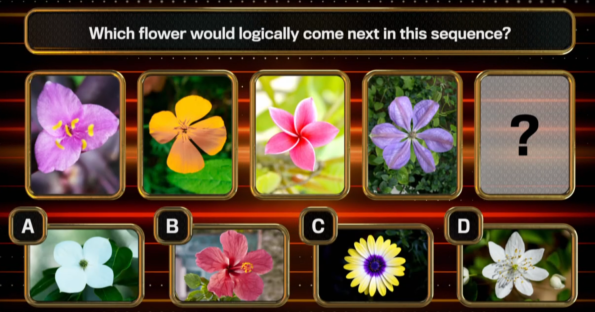 Quiz showing a sequence of flowers and asking which flower comes next.