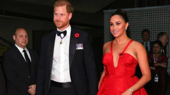 Why Meghan flaunting kids online for money is causing rift with Prince Harry who is still scarred by death of his mother