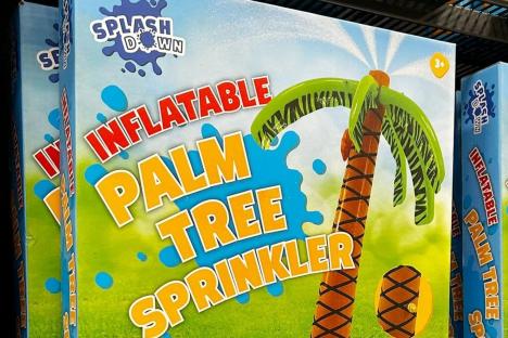 Mums go wild for ‘perfect’ Home Bargains buys that keep kids cool on hot days & a £7.99 item is great for ‘endless fun’
