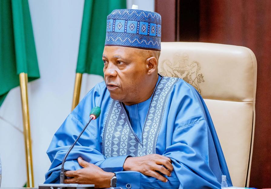 Shettima alleges judiciary facing blackmail
