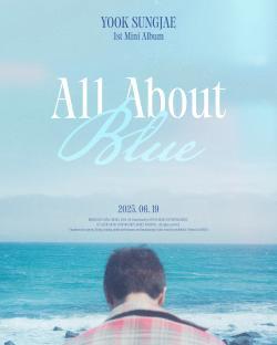 BTOB's Yook Sungjae Announces June Comeback With Teaser For “All About Blue” 3