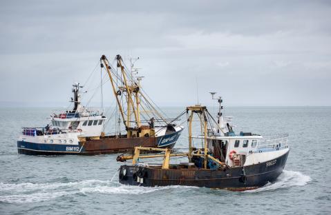 Keir Starmer is preparing to cave and give the EU more of our fish in return for a defence deal