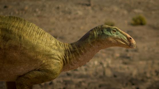 Illustration of a Planacoxa dinosaur.