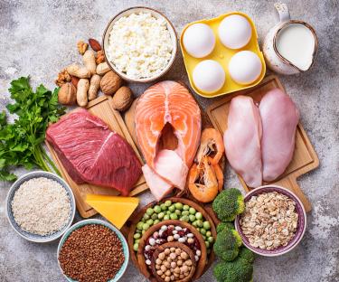 a variety of protein sources including meat eggs and grains