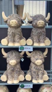 Four Highland cow garden statues on a shelf, priced at £24.99 each.