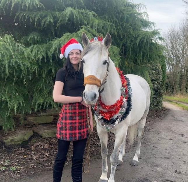 Person in a Santa hat standing beside a horse adorned with Christmas tinsel.
