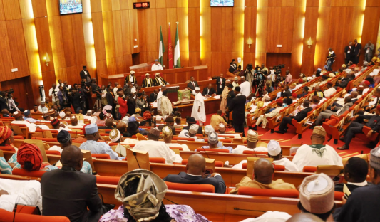 Nigerian Senate moves to mandate use of locally-made automobiles by govt agencies