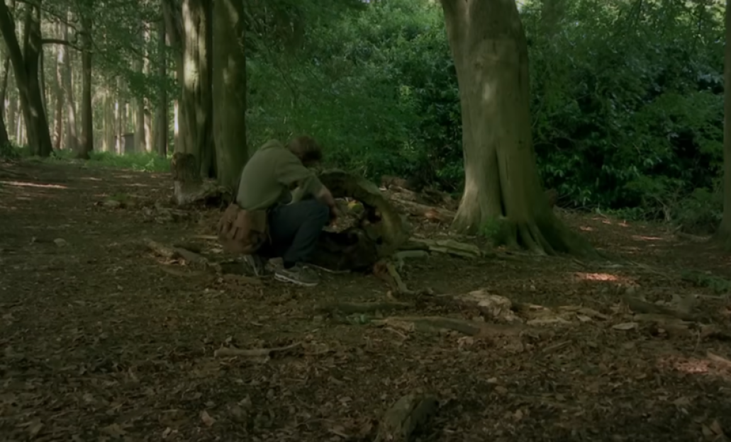 Person crouching by a tree trunk in a forest.
