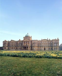 Elveden Hall with daffodils in the foreground.
