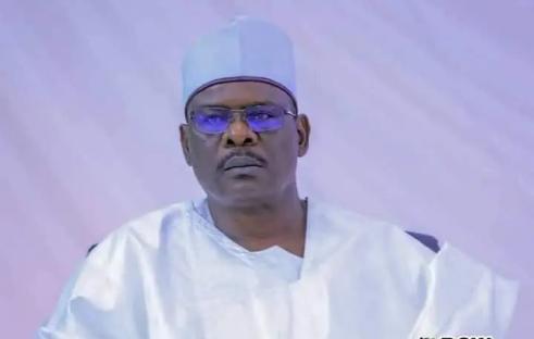 Alleged lopsidedness: Tinubu’s appointments based on merit – Presidency fires back at Ndume