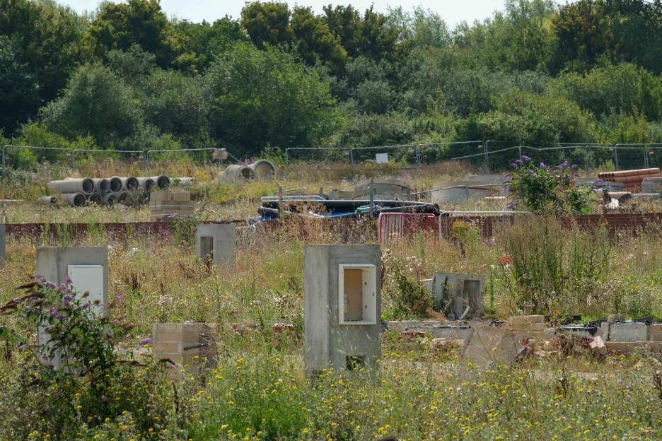 Overgrown abandoned construction site with concrete pipes and building materials.