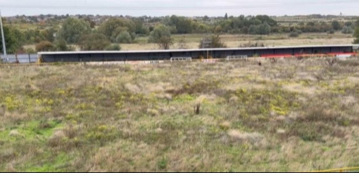 Grays Athletic Football Club stadium with spectator stand and overgrown field in the foreground.