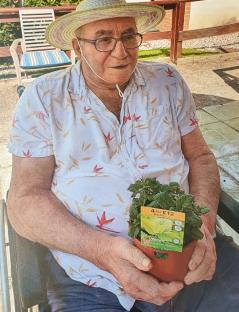 Photo of Donald Burgess holding a lemon balm plant.