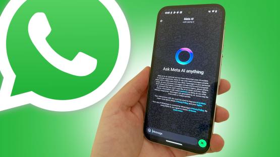 WhatsApp plots MORE dreaded changes despite huge backlash from users and insists new features are ‘optional’