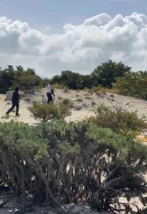 People walking on a sandy beach with shrubs and a cloudy sky.