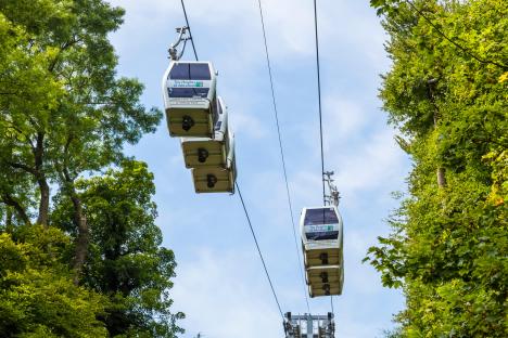 Two cable cars ascending over trees at the Heights of Abraham.