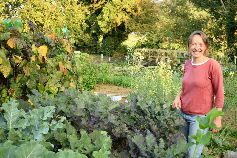 Garden pro’s £3 B&Q plant blooms now to the end of summer & self seeds for free flowers next year – the bees love it