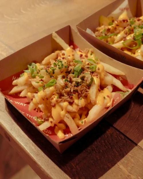 Cheese fries topped with fried onions and green onions.