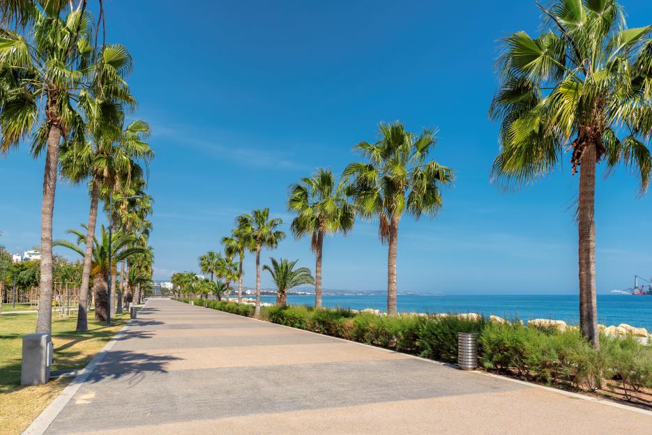 Palm trees line a promenade alley next to the sea in Limassol, Cyprus.