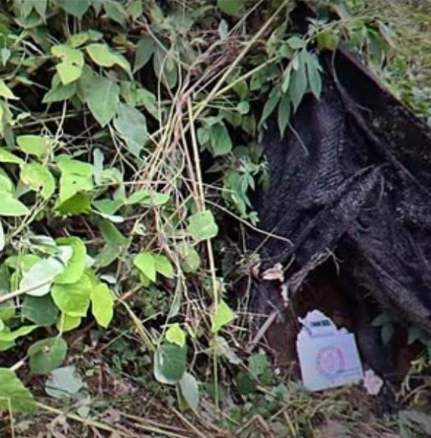 A black suitcase discovered in a mountain range.