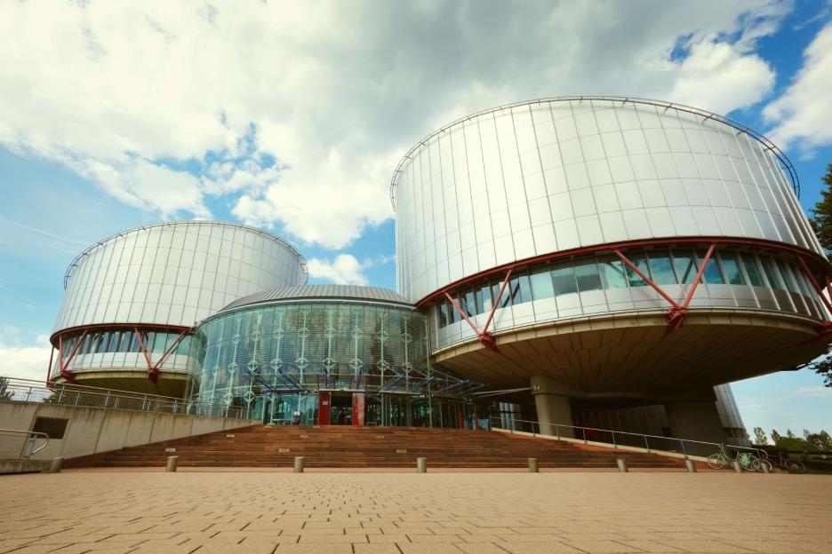 Pulling out of the ECHR could give us back some badly-needed control over our borders – but will Starmer allow it?