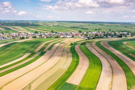Aerial view of Suloszowa village in Poland, surrounded by rolling agricultural fields.