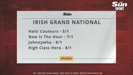 Irish Grand National odds.
