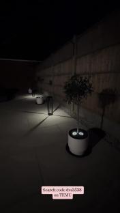 Nighttime view of a garden path with potted plants and illuminated pathway lights.